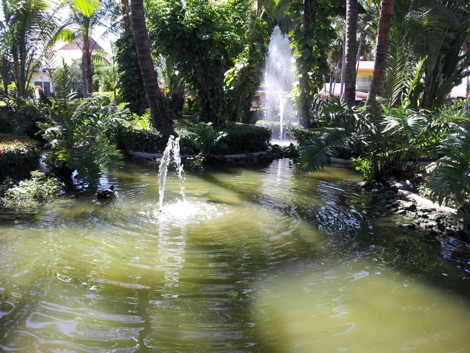 Teich vor der Rezeption Grand Palladium Select Bávaro Resort & Spa