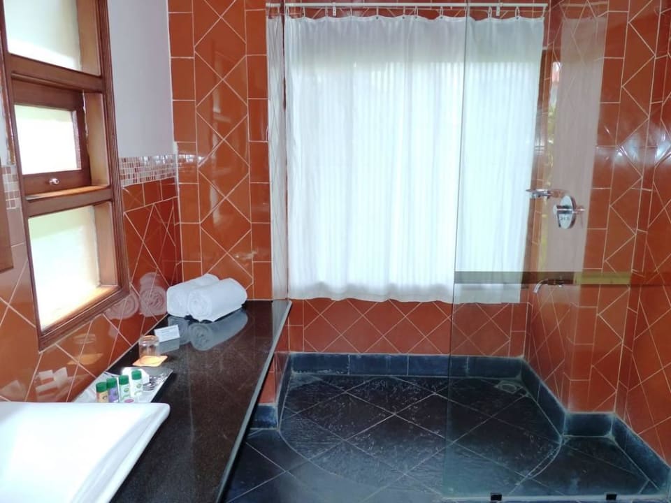 Duschbad Hotel Thekkady Wild Corridor