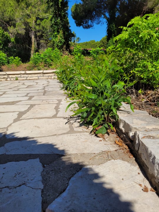 Pool Asteria Family Belek