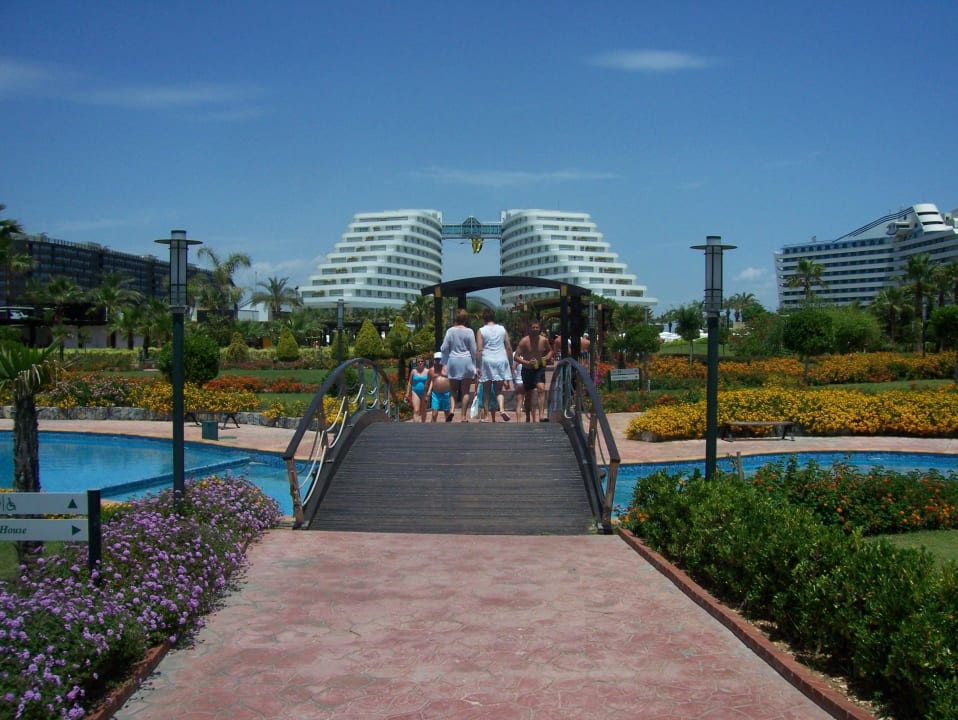 Blick vom Garten zum Hotel Hotel Miracle Resort