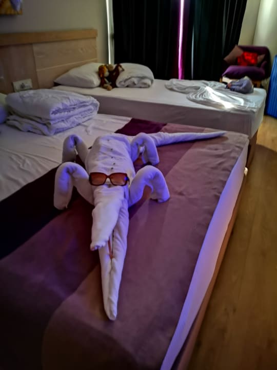Zimmer Seaden Sea Planet Resort & Spa