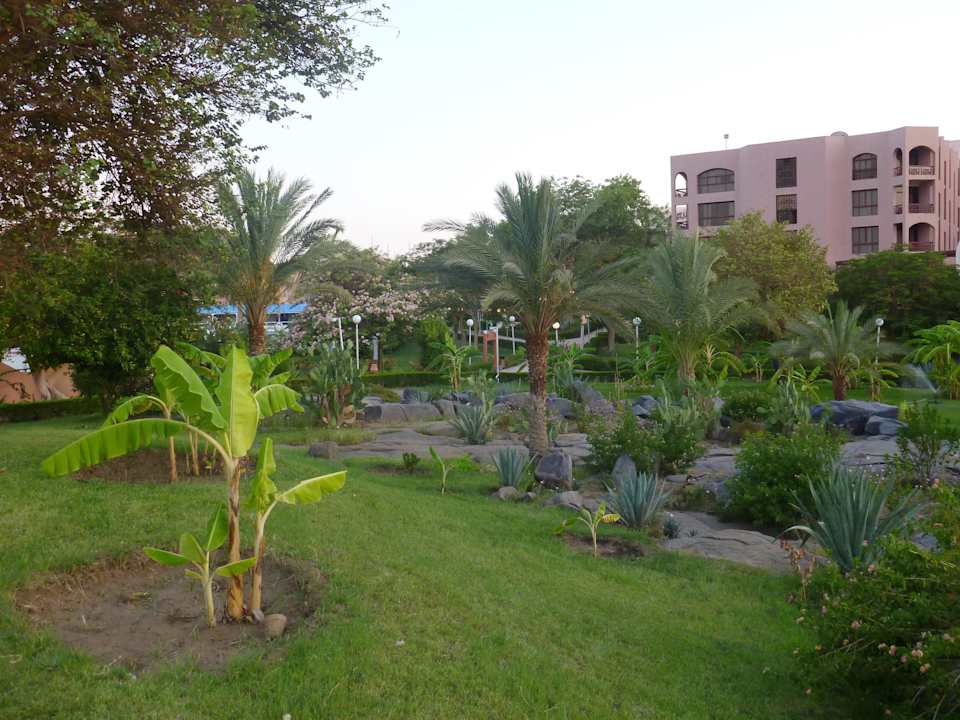 Gartenanlage Pyramisa Island Hotel Aswan