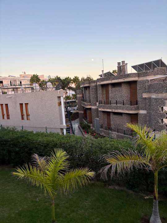 Gartenanlage Hotel Riu Palace Palmeras