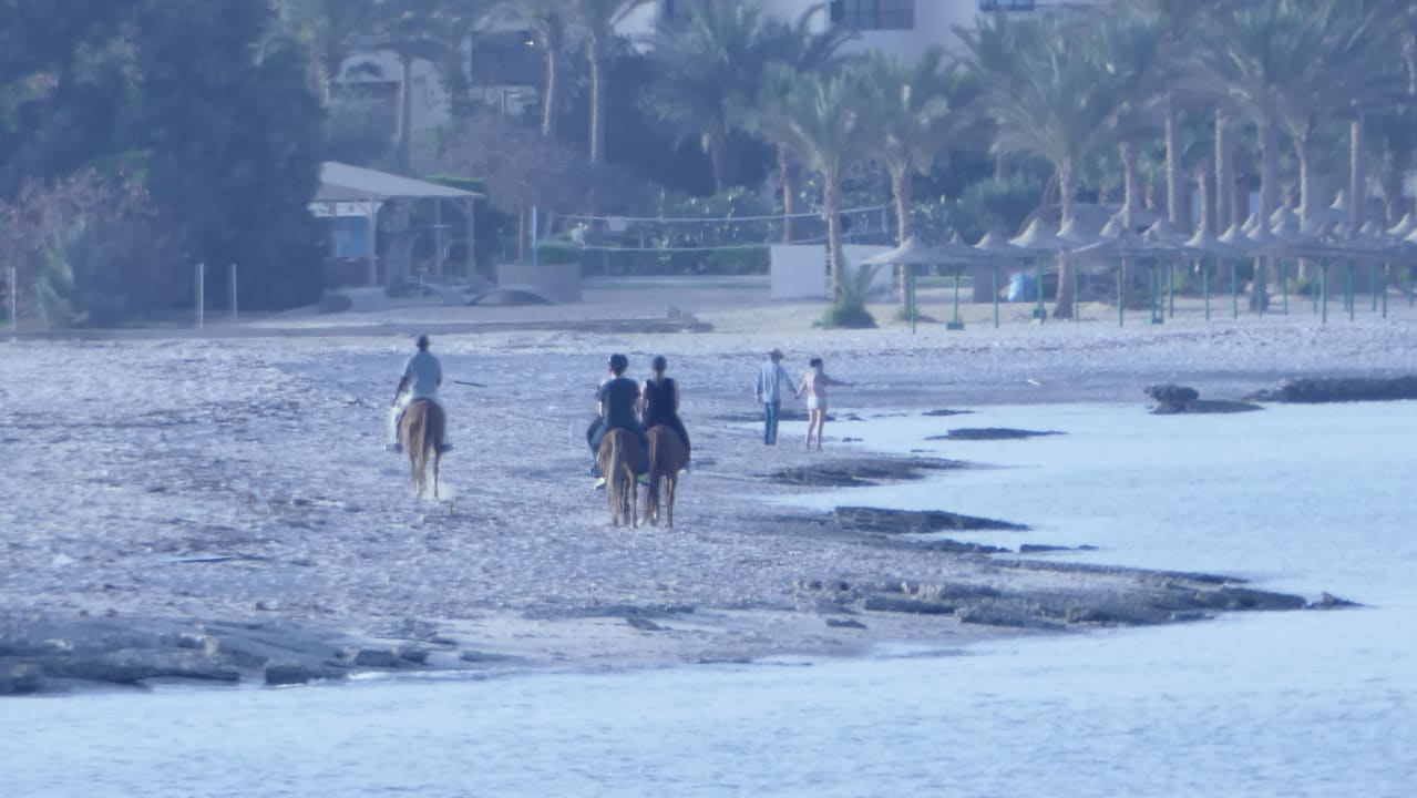 Strand Mövenpick Resort El Quseir