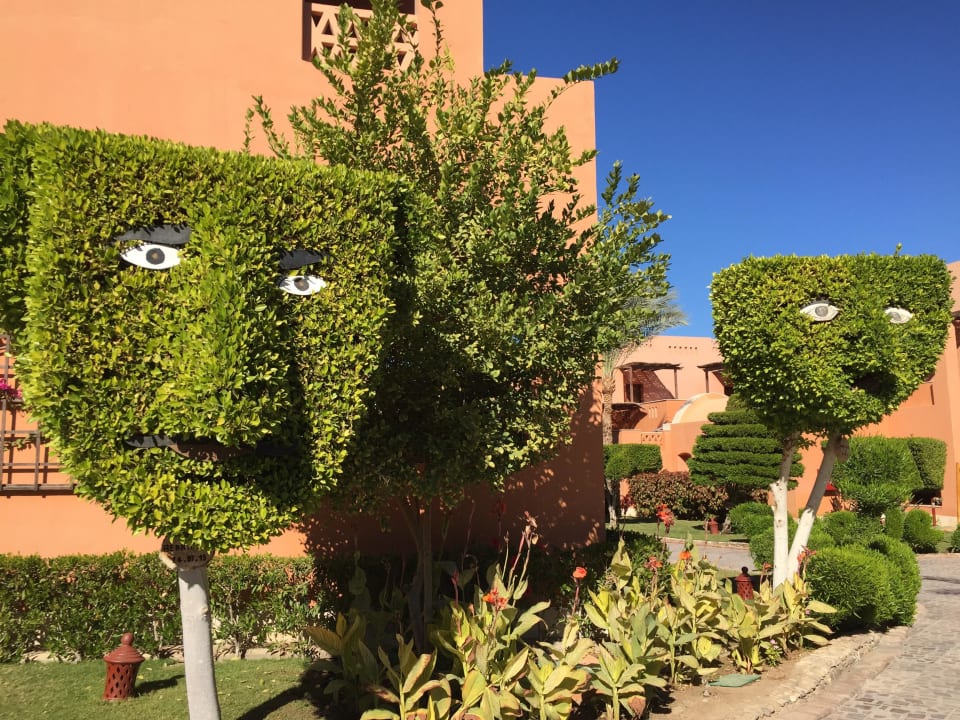 Garten Jaz Makadi Blue - TUI BLUE Makadi - Adults Friendly 16 Years Plus