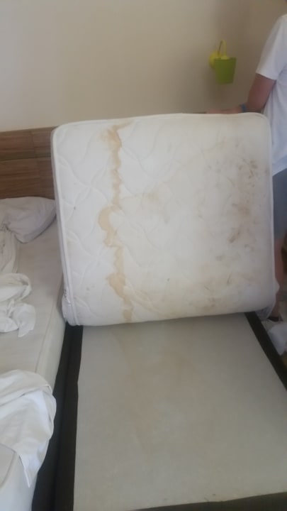 Zimmer Hotel Tia Maria