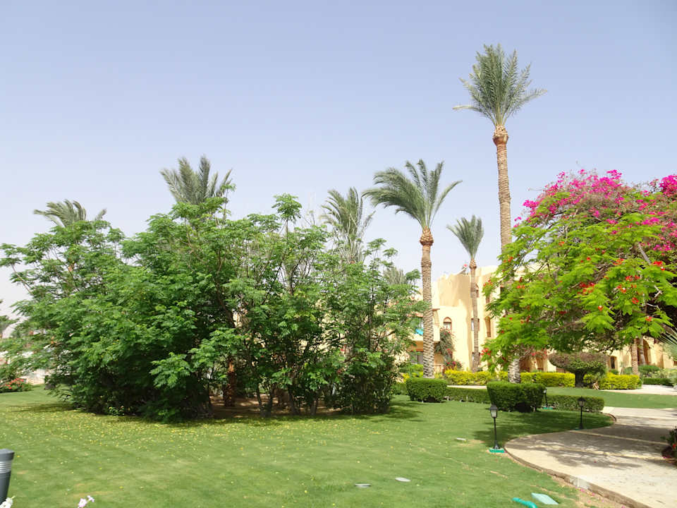 Gartenanlage Steigenberger Coraya Beach - Adults only