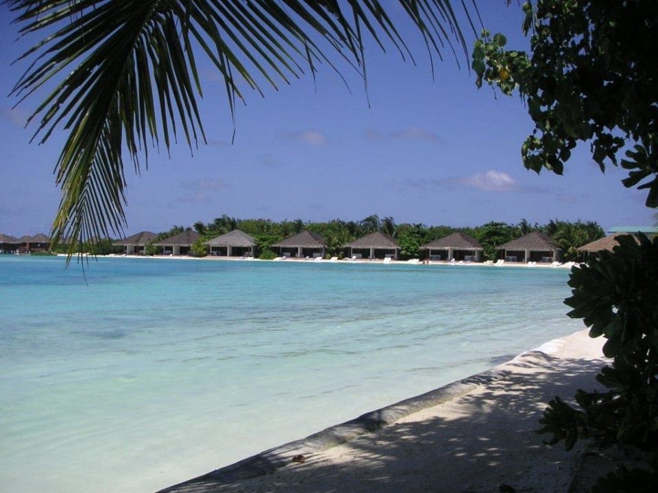 Schwimmlagune mit Hausriff Cinnamon Dhonveli Maldives