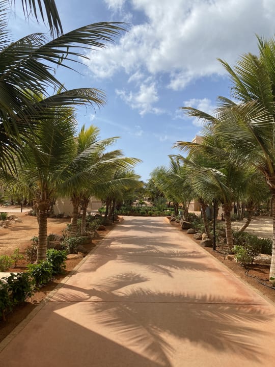 Gartenanlage Hotel Riu Touareg