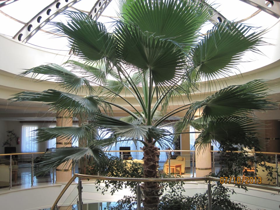 Bereich der Rezeption Iberostar Selection Creta Marine