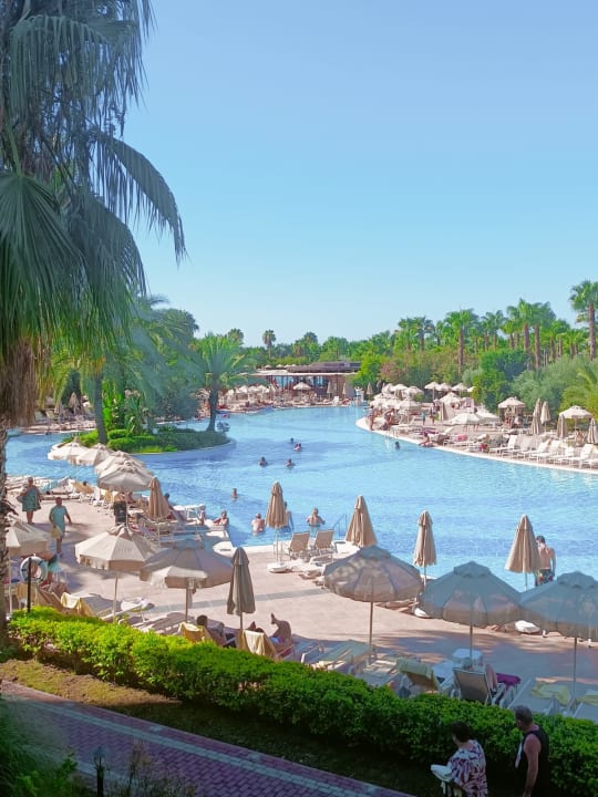 Pool Seaden Sea World Resort & Spa