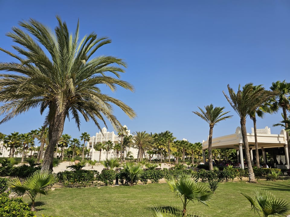 Gartenanlage Hotel Riu Karamboa