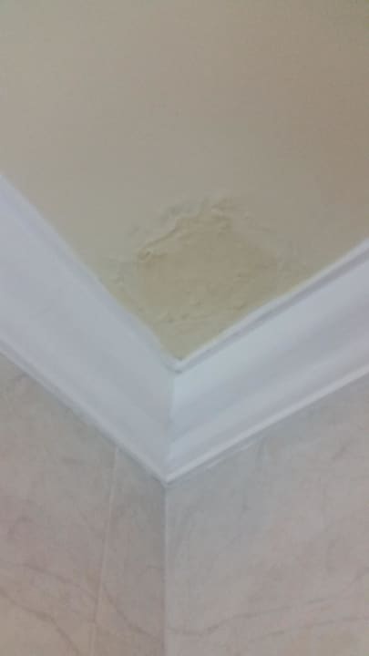 Dusche ( Decke )  Hotel Riu Palace Punta Cana