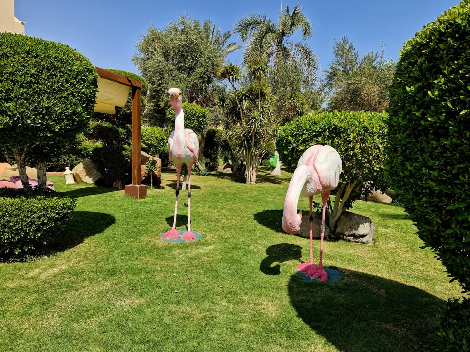Gartenanlage Hotel JAZ Makadi Star & Spa