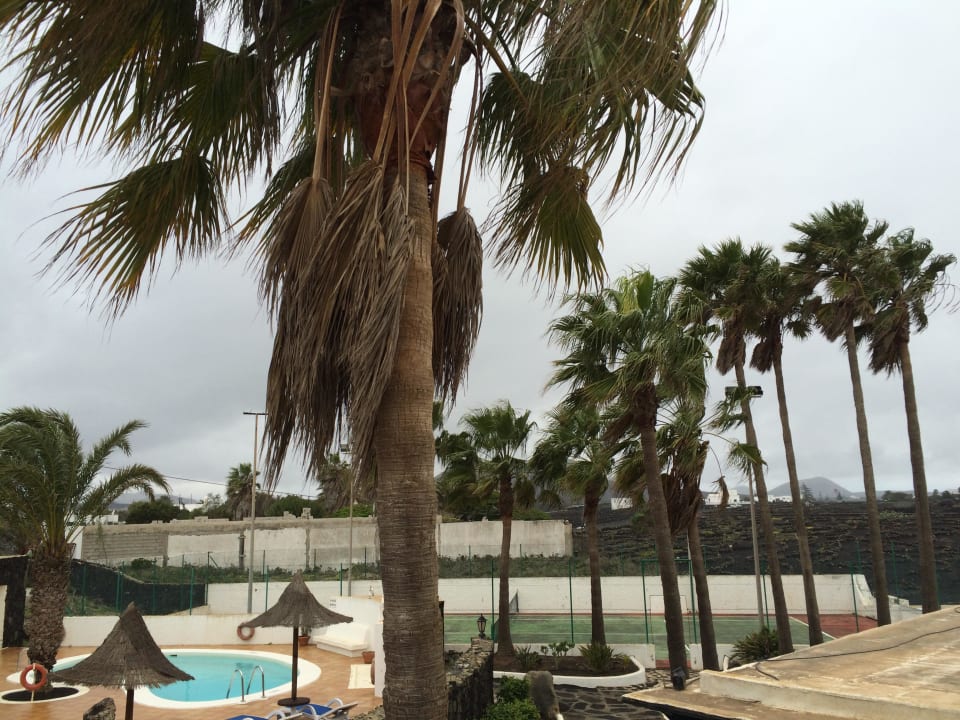 Pool Ansicht  Finca de la Florida