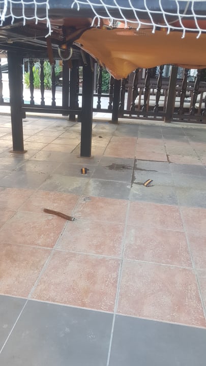 Sport & Freizeit Well Palace Side