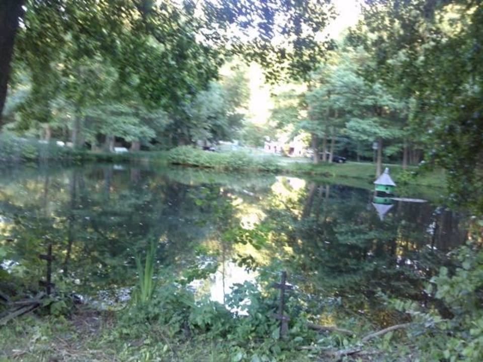 "Seeblick 2", aber eigentlich nur ein Teich! Seezeit Hotel Bad Stuer