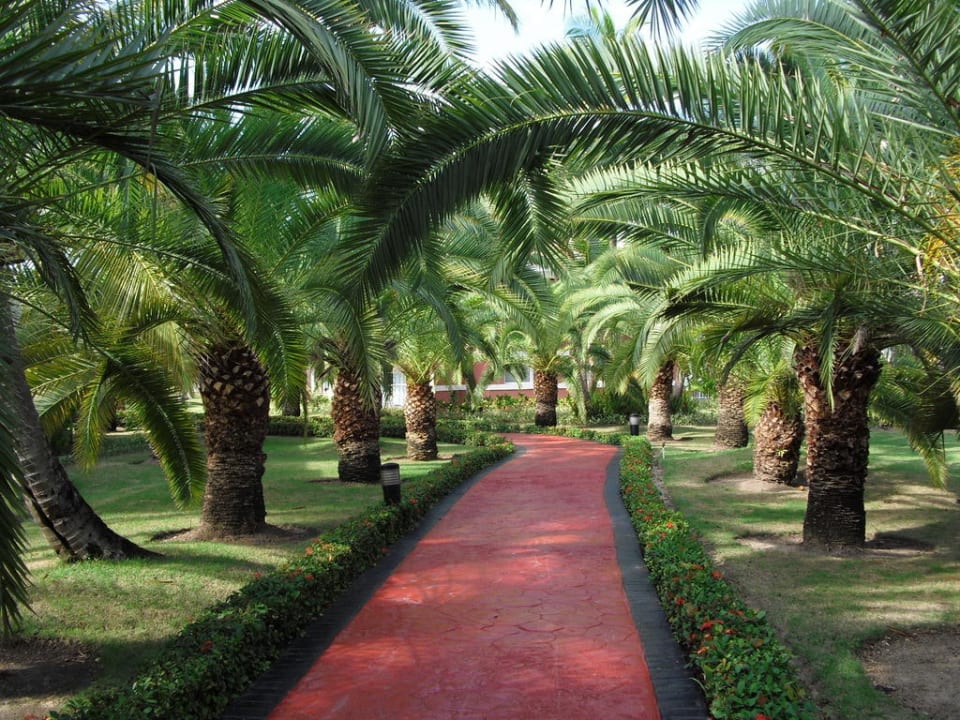 Wege in der Anlage Hotel Grand Palladium Palace Resort, Spa & Casino