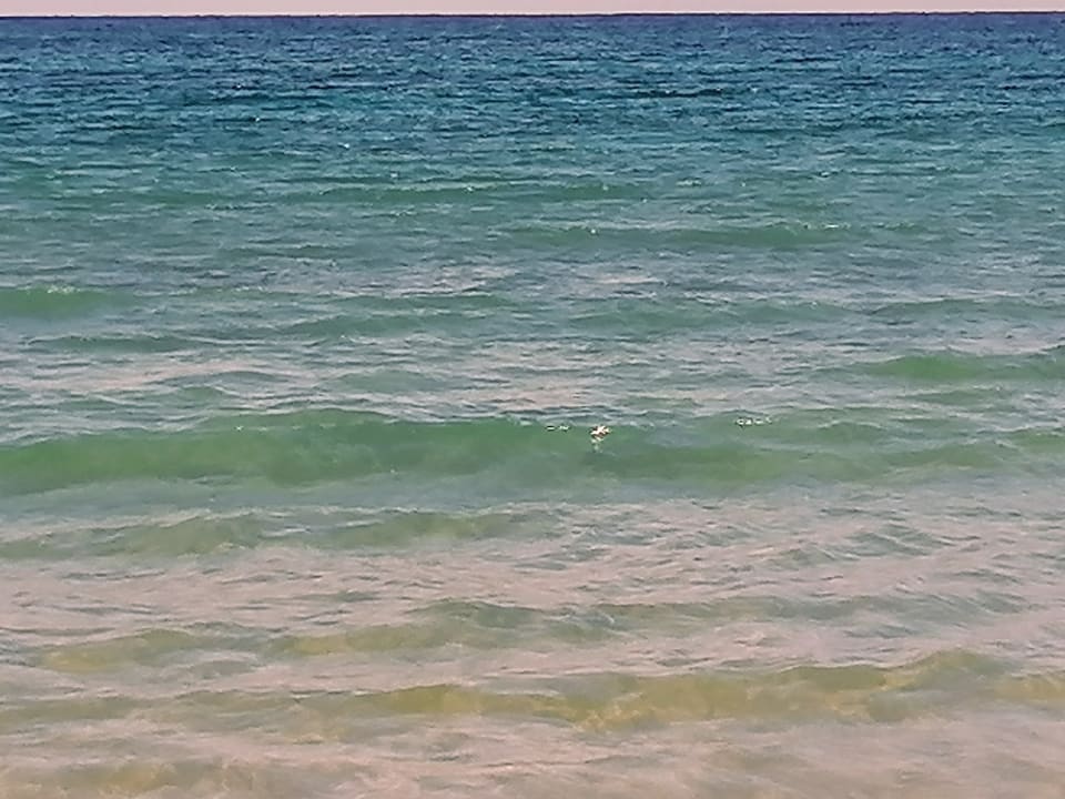 Strand Menaville Safaga