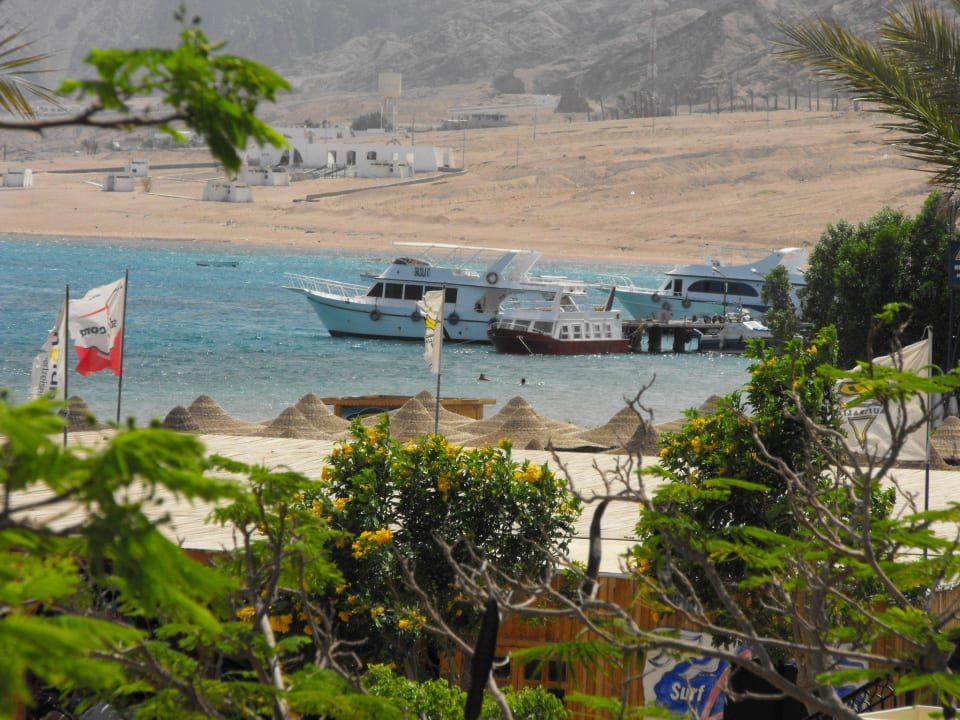 Vom Balkon geknipst JAZ Dahabeya