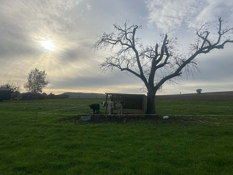 Ausblick Bauernhaus Vetter
