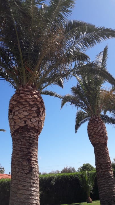 Außenansicht Anissa Beach & Village