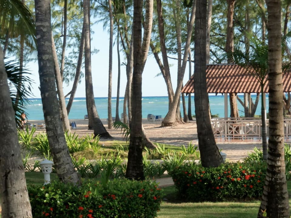 Blick vom Zimmer Vista Sol Punta Cana