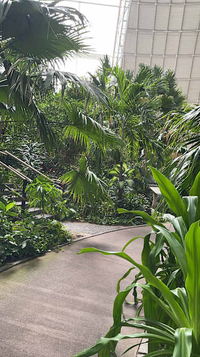 Gartenanlage Tropical Islands Resort