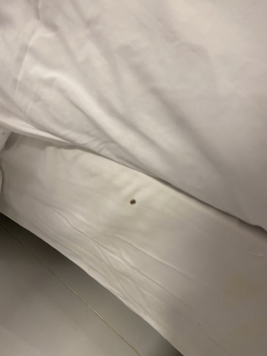 Zimmer Hotel Viva Dominicus Beach by Wyndham - All Inclusive Resort