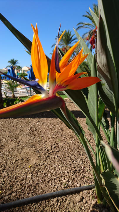 Außenansicht Lindos Princess Beach Resort & Spa