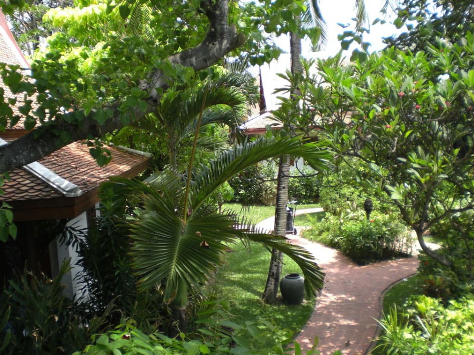 Weg durch den Tropengarten Anavana Beach Resort