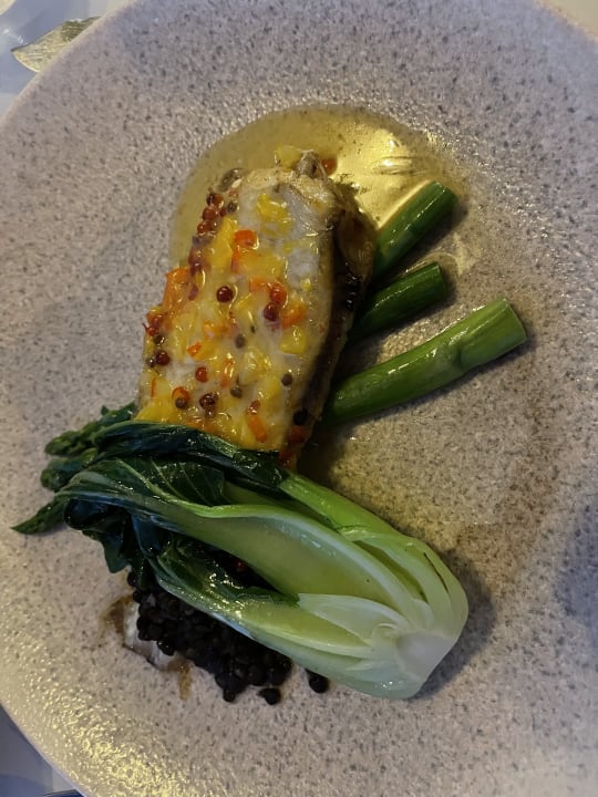 Gastro Acanthus Cennet Barut Collection