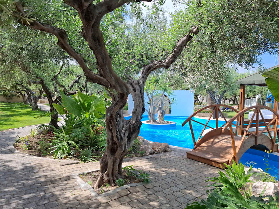 Pool TUI KIDS CLUB Alex Beach