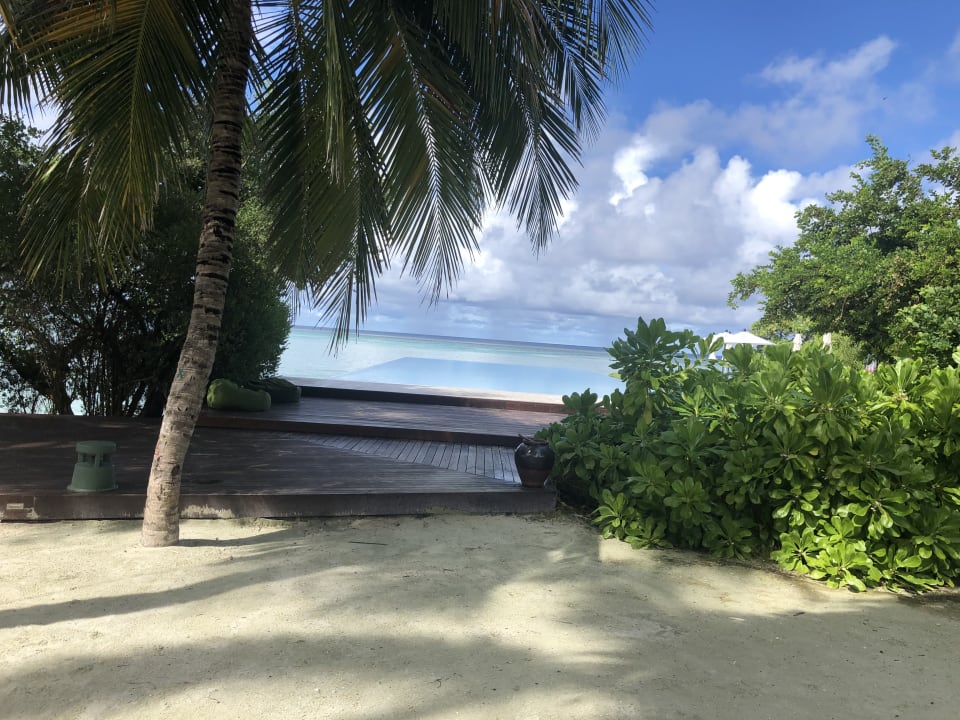 Pool Summer Island Maldives