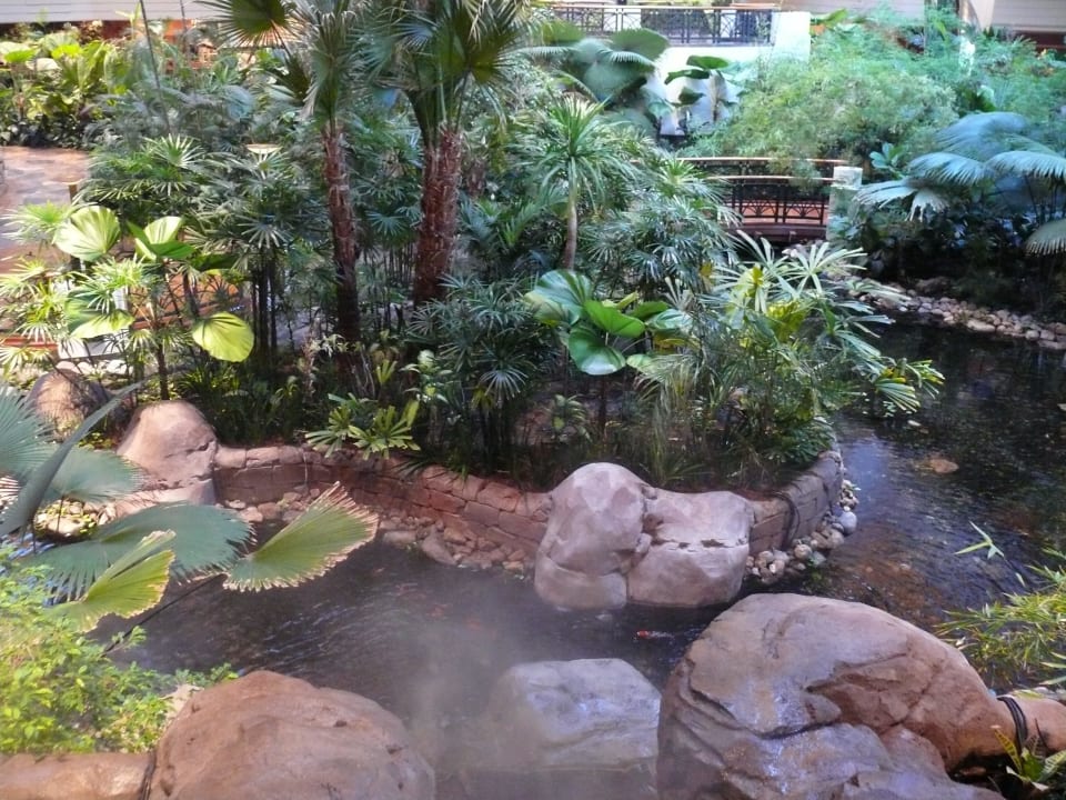 Eine Oase Grand Hyatt Dubai