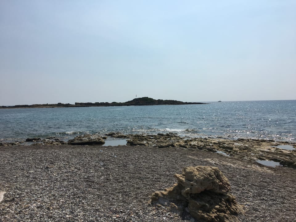 Strand Hotel Gardenia Beach