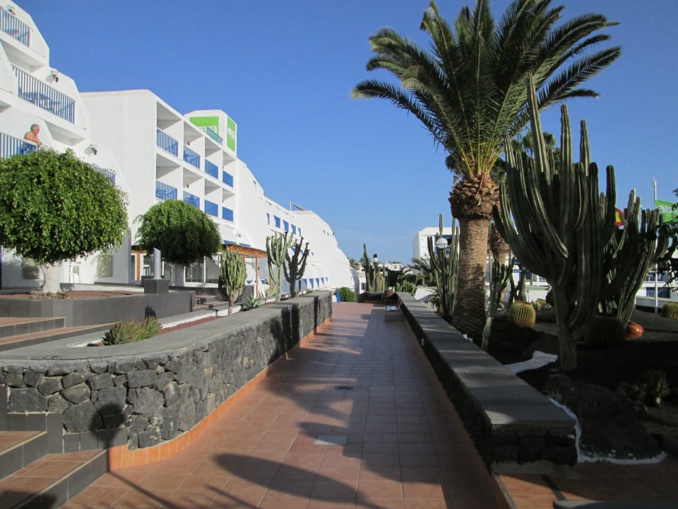 Gartenanlage Ereza Apartamentos Los Hibiscos- Adults Only