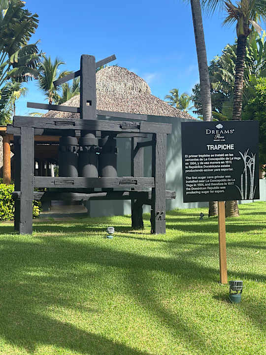 Gartenanlage Dreams Flora Resort & Spa - All Inclusive