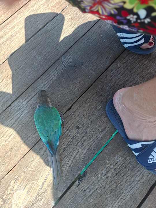 Sport & Freizeit Adaaran Select Meedhupparu Island Resort - Premium All Inclusive