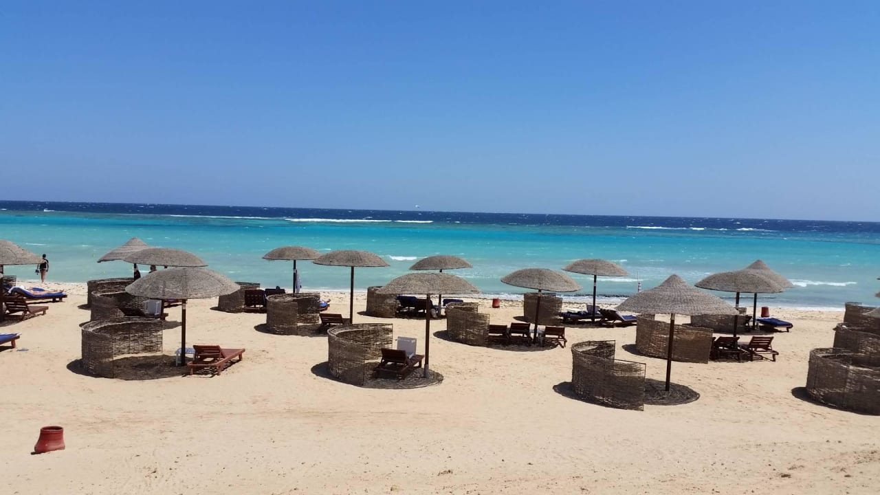 Strandliegen am Innenriff Hotel Gorgonia Beach Resort