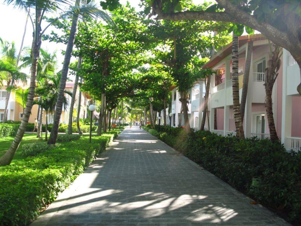 Weg zum Strand Hotel Riu Bambu