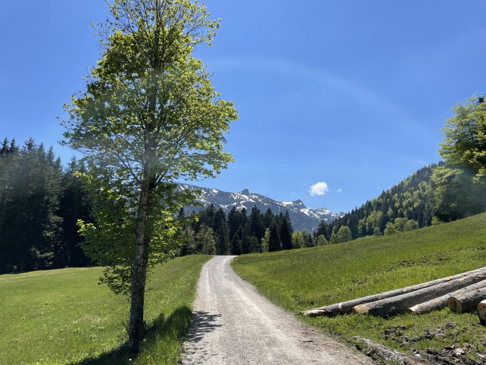 Außenansicht Ferienhof Streidl