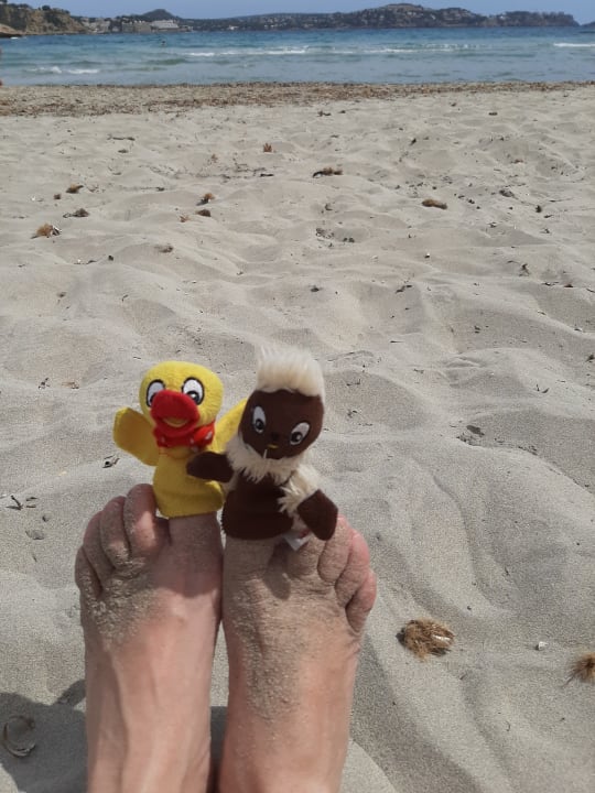 Strand Hotel Aldea Cala Fornells 2