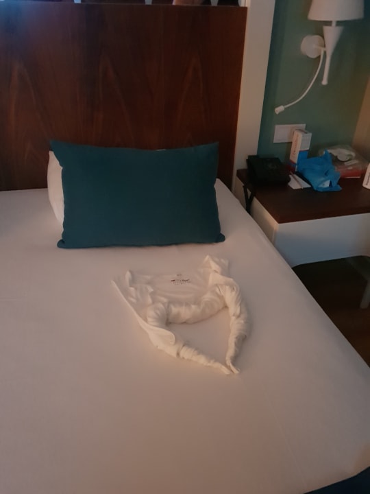 Zimmer Seashell Vega