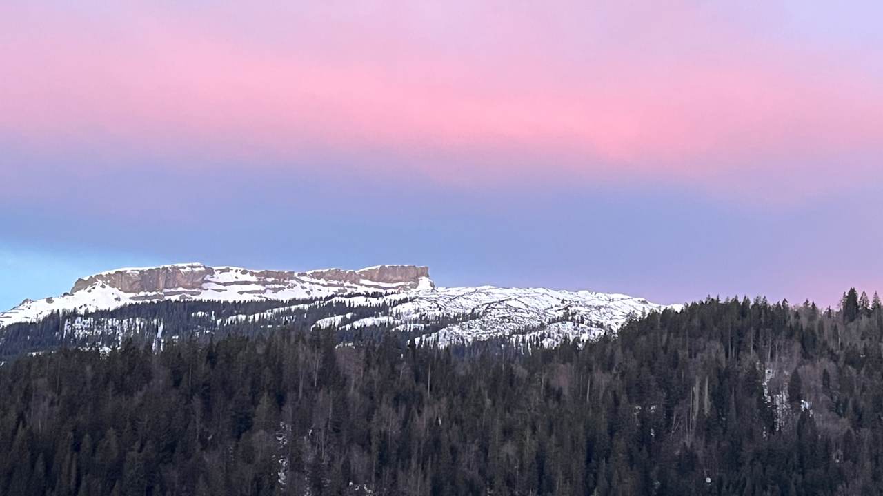 Zimmer Gästehaus Boersch