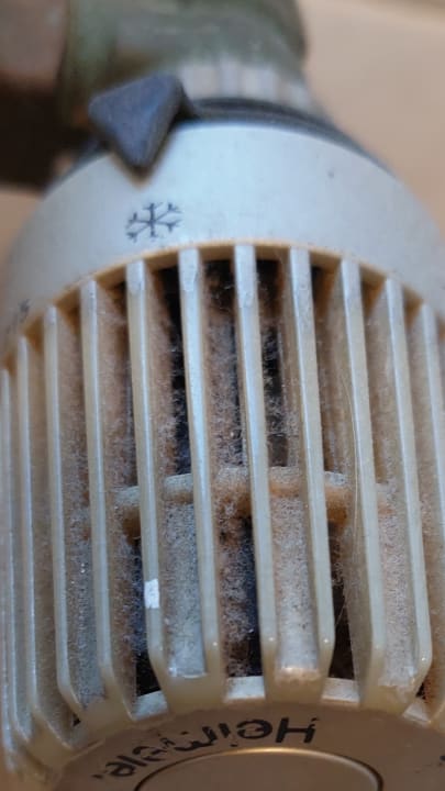 Zimmer Residenz Albatros