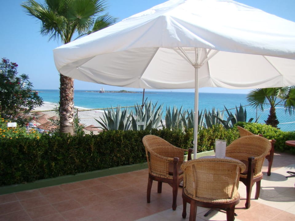 Бар Botanik Hotel & Resort