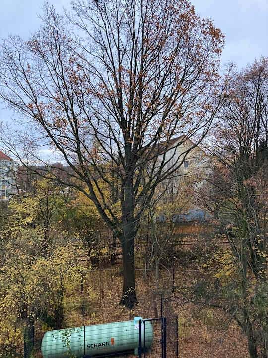 Ausblick Best Western Hotel Windorf