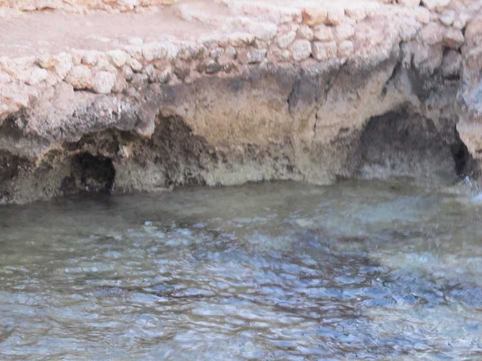 Wild romantisch The Grand Hotel Sharm El Sheikh