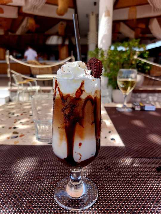 Gastro Seashell Vega